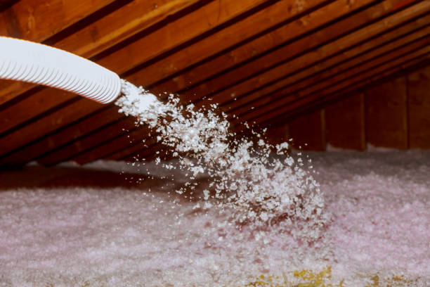 Best Blown-in Insulation in Susanville, CA
