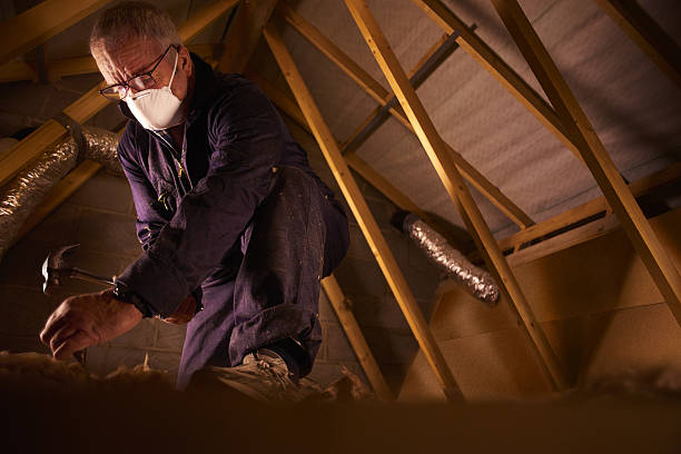 Best Specialized Insulation Services in Susanville, CA