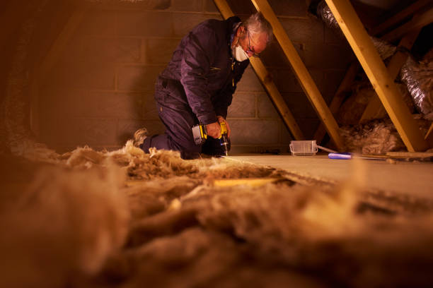 Types of Insulation We Offer in Susanville, CA
