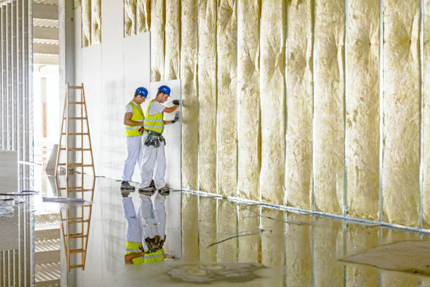 Best Eco-Friendly Insulation in Susanville, CA